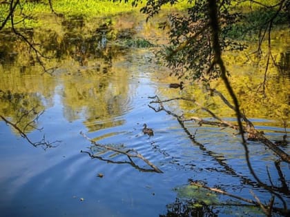 Новые инициативы в Белгороде: улучшение городской инфраструктуры