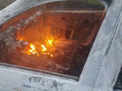 Птицефабрика в Шебекинском городском округе попала под обстрел со стороны Украины