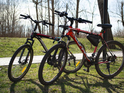 «Очень не хватает мирного неба»: белгородские велосипедисты рассказали, с какими проблемами они столкнулись в последнее время