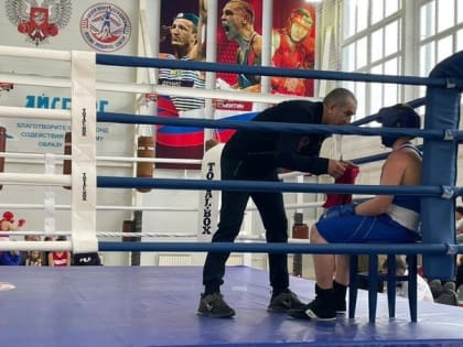 Спортсмены из валуйского Уразово завоевали награды первенства Белгородской области по боксу