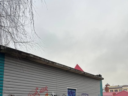 В Старом Осколе наказали родителей малолетних авторов граффити