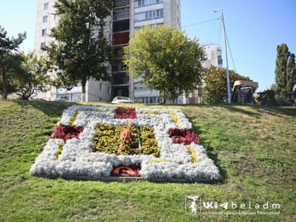 Цветочные часы в районе смотровой площадки на проспекте Ватутина будут радовать белгородцев до октября