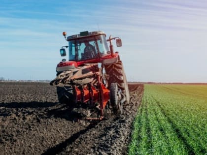 Белгородские аграрии приступили к севу озимых в регионе