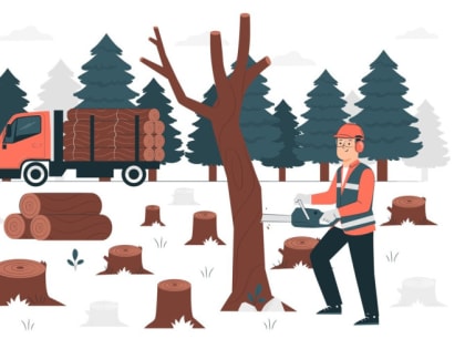 В Старом Осколе началась вырубка аварийных деревьев