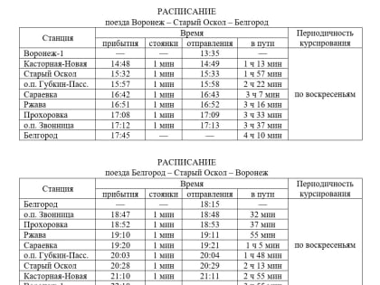 Рельсовый автобус из Воронежа в Белгород будет ходить через Старый Оскол и в воскресенье