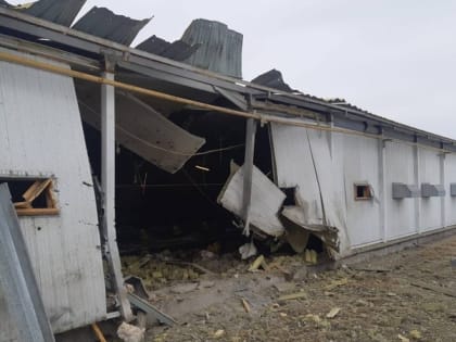 Город Шебекино и село Муром попали под обстрел