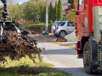 В Белгороде продолжается вывоз веток и других растительных отходов