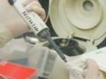 В Белгородской испытательной лаборатории проверили сточные воды на энтеровирусные инфекции