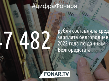 Белгородстат: средняя зарплата белгородцев самая высокая в Черноземье
