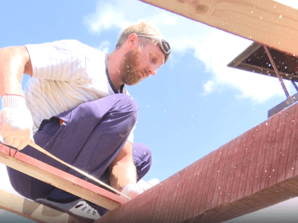 Новые инициативы по улучшению общественного транспорта в Белгороде