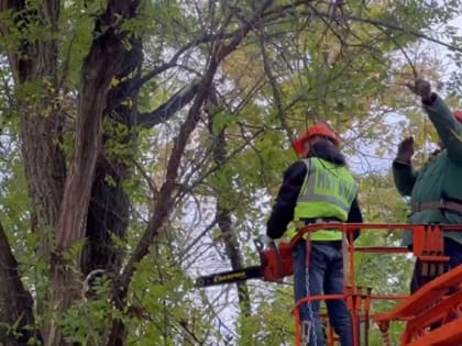 Сотрудники Белгорблагоустройства приводят город в порядок после непогоды