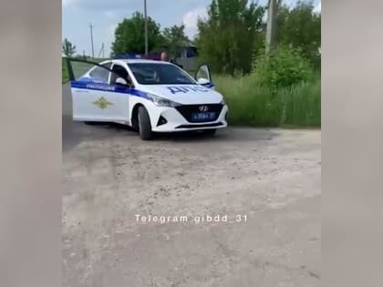 В Белгороде произошло ДТП с участием восьмилетнего самокатчика