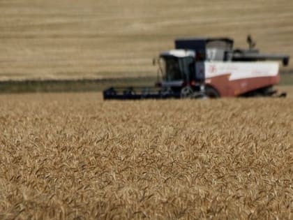 Белгородская область вошла в десятку лучших субъектов по уровню развития экспортного потенциала АПК