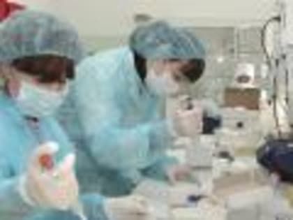 В июне вирусологи Белгородской испытательной лаборатории провели более 13,5 тысяч исследований