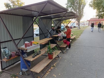 В Старом Осколе установлены прилавки для бесплатной торговли сельхозпродукцией