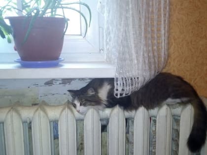 Невролог рассказала, почему потребность в тепле или прохладе у мужчин и женщин разная