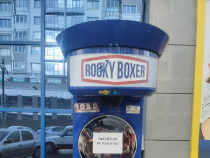 Белгородские полицейские нашли управу на «Рокки-боксёра»