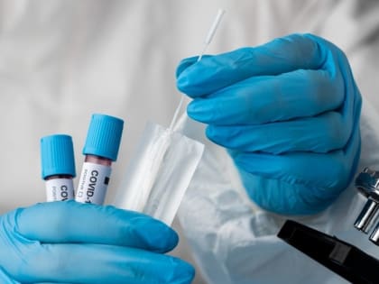 Один человек в Белгородском районе заболел COVID-19 за минувшие сутки