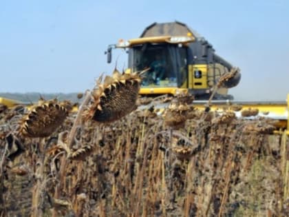 Правительство РФ выделило средства на поддержку региона