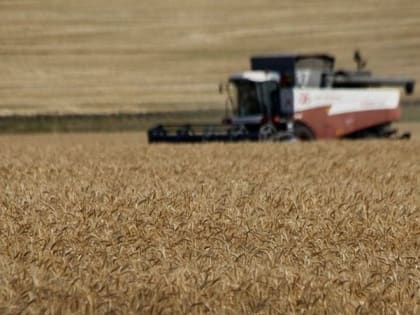 Белгородская область заняла второе место по агроэкспорту