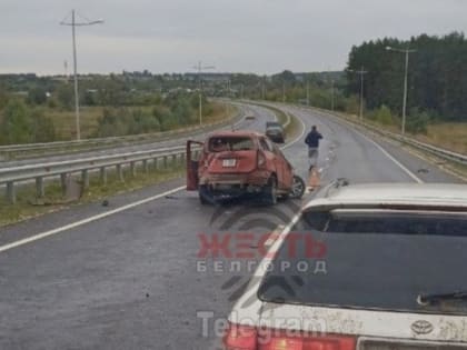 Смертельное ДТП на 3 км автодороги «объездная посёлка Томаровка» произошло в Белгородской области