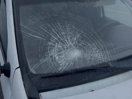 Водитель иномарки сбил пожилую женщину на пешеходном переходе в городе Строителе
