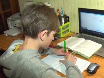 Дистанционно или очно: белгородцы снова обсуждают формат обучения детей