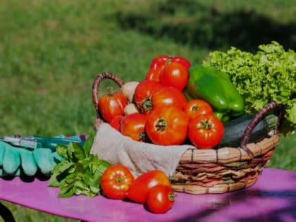 Глава КФХ Евгений Стребков из Яковлевского округа выиграл грант на развитие семейной фермы