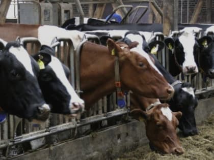 Яковлевский участок Белгородэнергосбыта сообщил о взаимовыгодном сотрудничестве с предприятиями