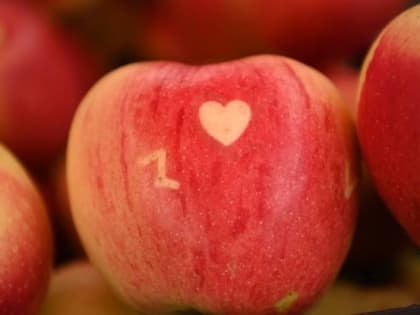 Завтра в Белгороде пройдёт традиционная фермерская ярмарка