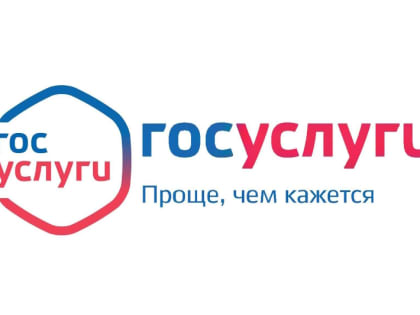 Более 46 тысяч жителей региона выбрали получение  сводных налоговых уведомлений в личном кабинете «Госуслуг»