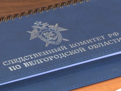 16-летнему подростку, напавшему на женщину с ребёнком в Бессоновке, предъявили обвинение