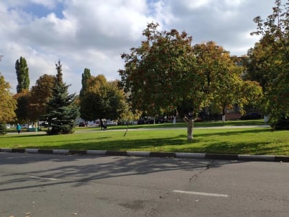 Новые законы октября-2023: что изменится в жизни губкинцев и всех россиян