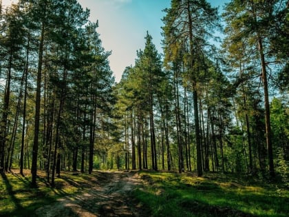 На Белгородчине продлили особый противопожарный режим