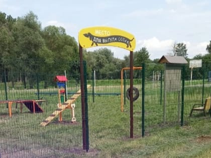 Губернатор Вячеслав Гладков ответил на вопрос новооскольца о создании площадки для выгула собак