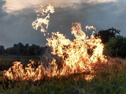 Особый противопожарный режим вводится в Губкинском округе с 26 сентября