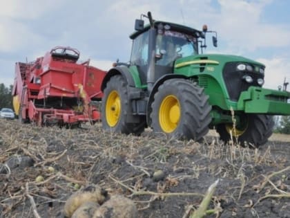 Белгородские аграрии запланировали собрать 32,6 тысяч тонн картофеля в 2023 году