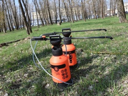 Парки, набережные и скверы Белгорода обработают от клещей в этом месяце