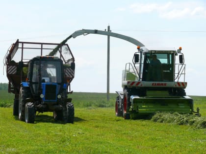 Идёт заготовка кормов