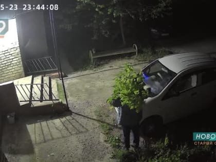 «Незамечательный сосед»: в Старом Осколе конфликт жильцов в многоквартирном доме дошёл до суда