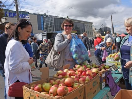 Белгородцев приглашают на субботнюю фермерскую ярмарку