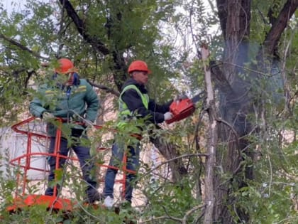 Сегодня в Белгороде ожидается усиление ветра до 18 м/с