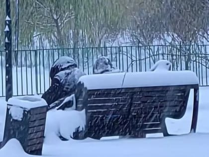 Белгородка попросила помочь двум бездомным женщинам, которые кочуют по улицам города с пакетами