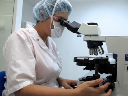 Старооскольская ветслужба нашла в рыбе и мясе кишечную палочку, а в мёде - левомицетин