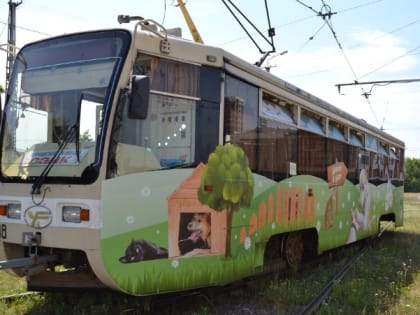 Вопросы жителей о строительстве автобусных карманов