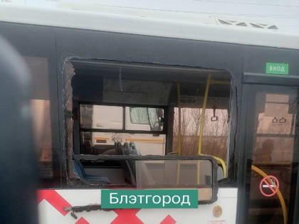 За неделю обстрелов Белгородской области погибли 11 человек и 82 пострадали