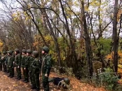 Военная прокуратура проверит батальон «Барс-Белгород» после жалобы бойца