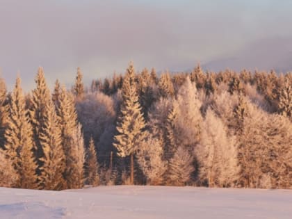 Белгородские синоптики прогнозируют переменную облачность на территории региона 26 января