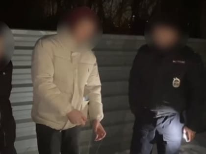 Силовики задержали поджигателей релейных шкафов на станции в Старом Осколе