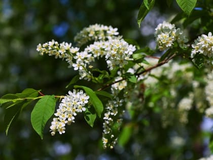 Синоптики рассказали, когда в Белгородскую область вернётся тепло